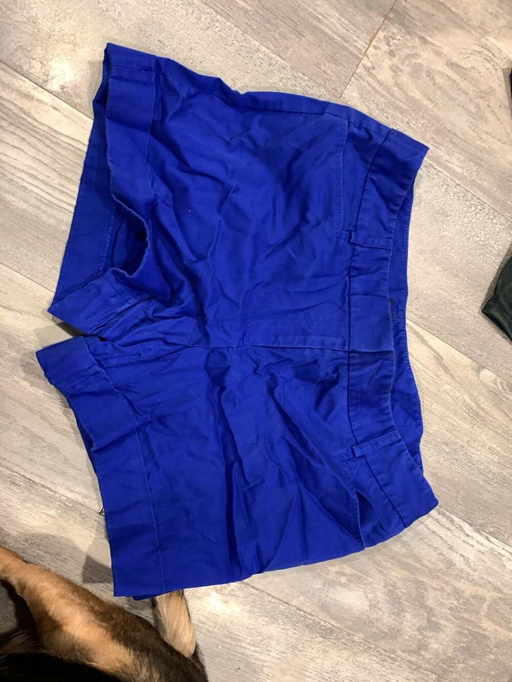 Express Chino Shorts Size 10 Royal Blue Cuffed Mid Rise
